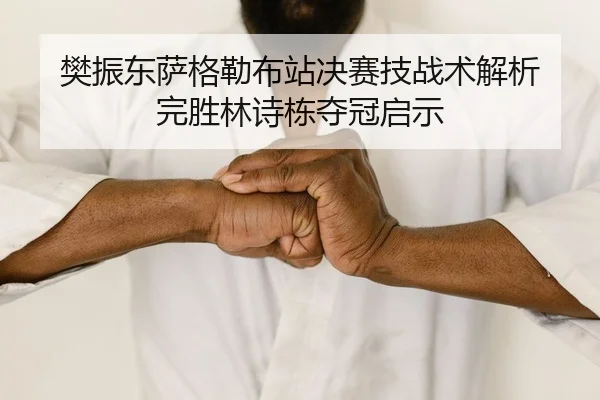樊振东萨格勒布站决赛技战术解析 完胜林诗栋夺冠启示